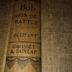 Bob Son of Battle Book by Alfred Ollivant- a story about two dogs - preloved